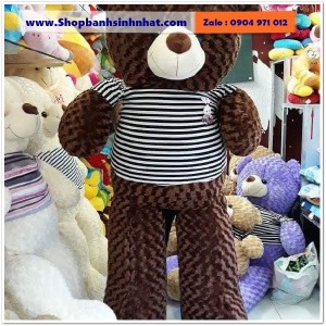 Gấu Bông Teddy Hàn Quốc - GAU85